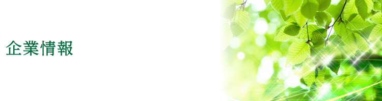企業情報